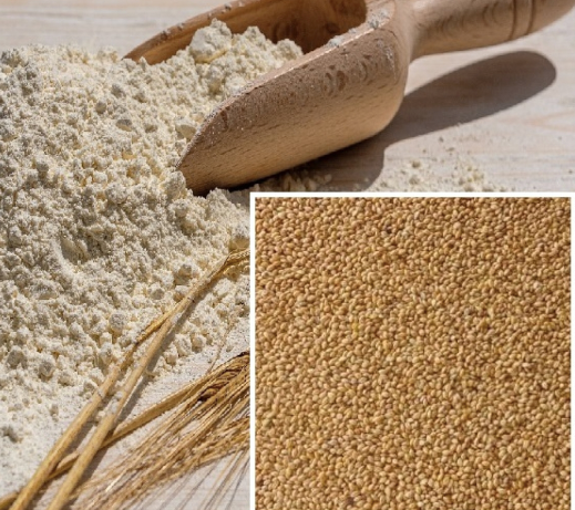 Barnyard Millet Dosa Mix