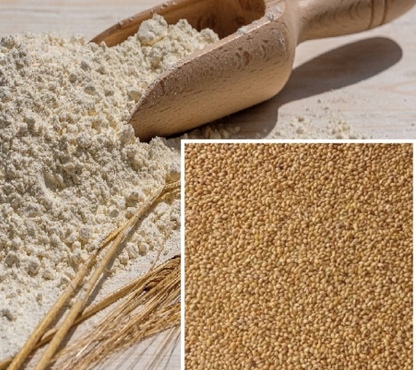 Kodo Millet Dosa Mix