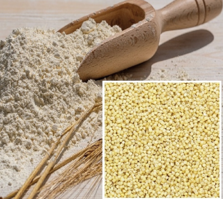 Little Millet Flour