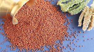 Ragi Millet Dosa Mix