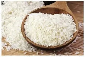 Seeraga Samba Raw Rice