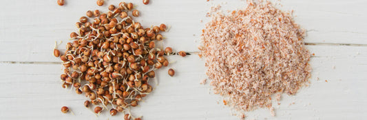 Sprouted Sorghum Red Millet Flour