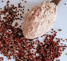 Sprouted Ragi Millet Dosa Mix